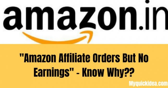 Amazon Affiliate Orders But No Earnings - Know Why