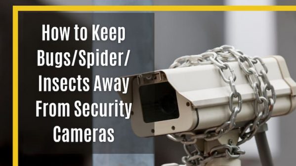 How to Keep Bugs/Spider/ Insects Away From Security Cameras? Tips to Protect Your Security Camera Like a Pro.