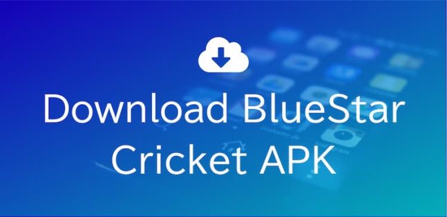 Download BlueStar Cricket APK