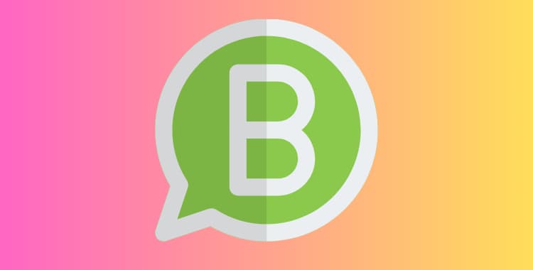 Why You Should Use WhatsApp Professionally